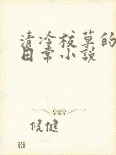 清冷校草的堕落日常小说