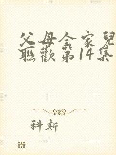 父母全家儿女大联欢第14集