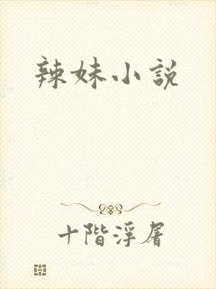辣妹小说