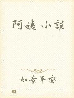 阿姨 小说
