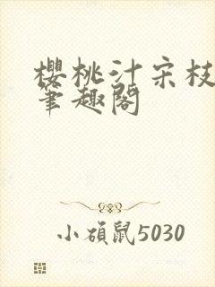 樱桃汁宋枝江野笔趣阁