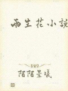 两生花小说
