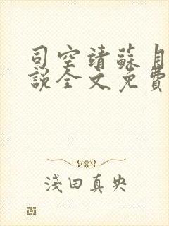 司空靖苏月汐小说全文免费阅读