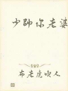 少帅你老婆