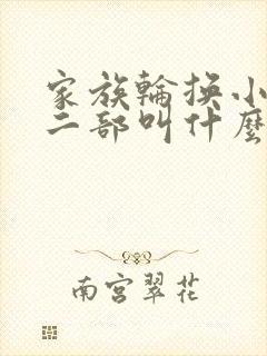 家族轮换小说第二部叫什么名字