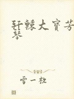 轩辕大宝芳菲雅琴