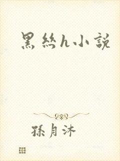 黑丝h小说