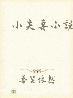 小夫妻小说