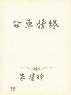 公车情缘