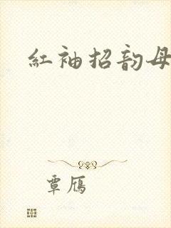 红袖招韵母攻略