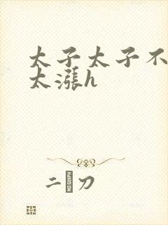 太子太子不要了太涨h