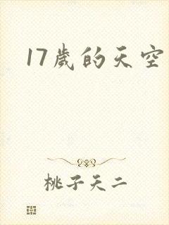 17岁的天空