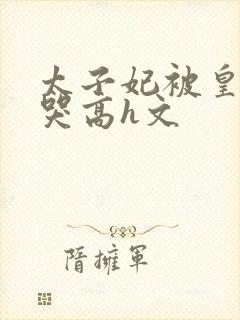 太子妃被皇上c哭高h文