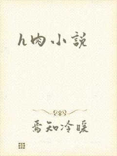 h肉小说