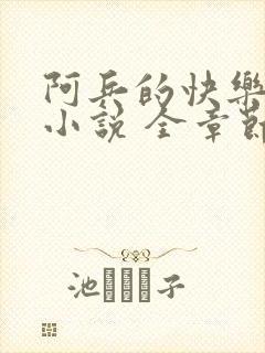 阿兵的快乐生活小说 全章节阅读免费