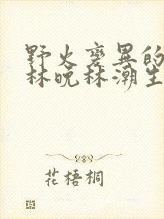 野火变异的父爱林晚林潮生