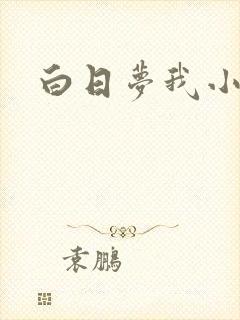 白日梦我小说