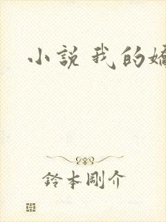 小说 我的娇妻