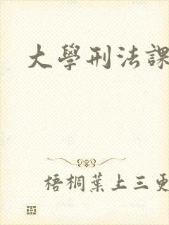 大学刑法课