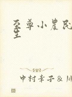 至尊小农民王木生