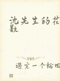 沈先生的花式调数