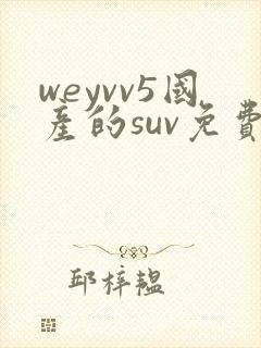 weyvv5国产的suv免费