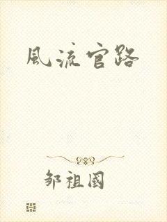 风流官路