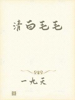 清白毛毛