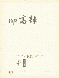 np高辣