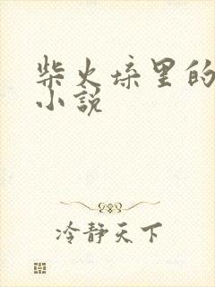 柴火垛里的疯狂小说