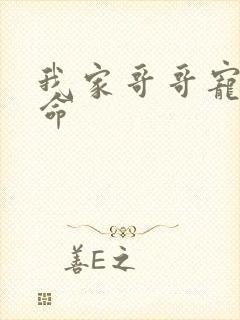 我家哥哥宠妹如命