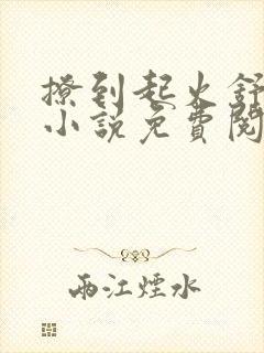 撩到起火舒漾的小说免费阅读全文