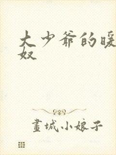 大少爷的暖床小奴