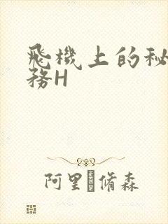 飞机上的秘密服务H