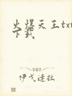 火爆天王txt下载