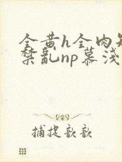 全黄h全肉短篇禁乱np慕浅浅