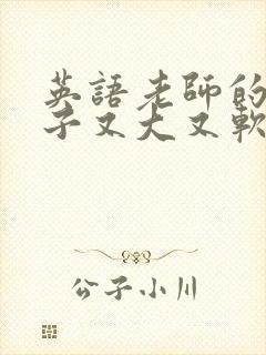 英语老师的小兔子又大又软