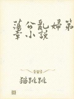 荡公乱妇第51章小说