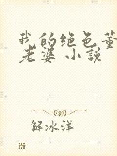 我的绝色董事长老婆 小说