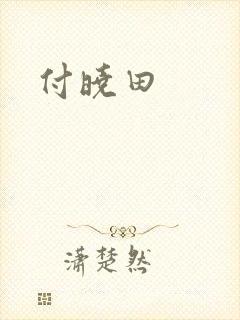 付晓田