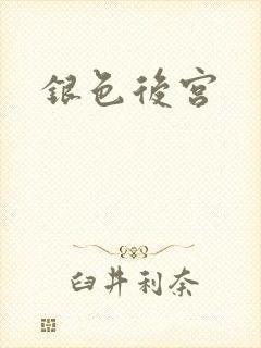 银色后宫