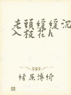 老头缓缓沉腰进入校花h