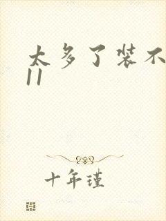 太多了装不下H11