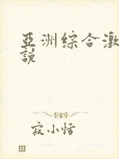 亚洲综合激情小说