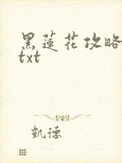 黑莲花攻略手册txt