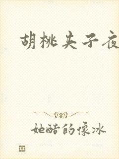 胡桃夹子夜未眠