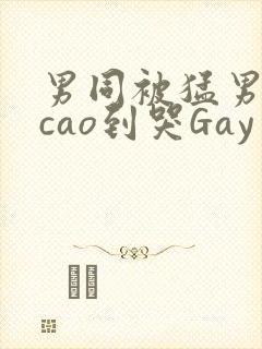 男同被猛男房东cao到哭Gay