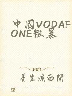 中国VODAFONE粗暴