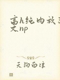 高h纯肉放荡h文np
