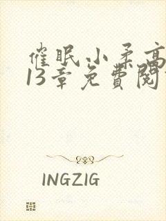 催眠小柔高达第13章免费阅读